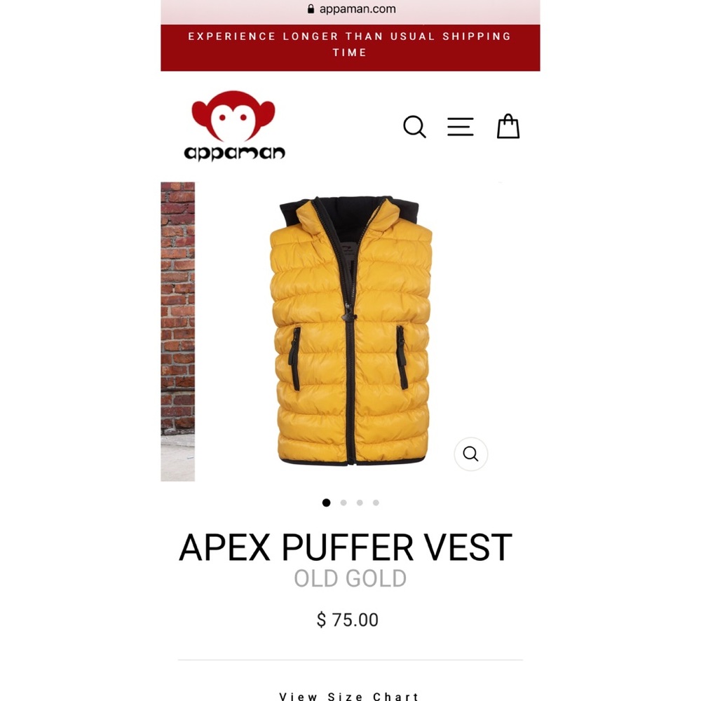 NWT! Appaman Apex vest